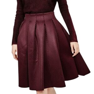 Maje Jimmy Honeycomb Skirt Women's Size S Flare Whimsigoth Dark Romantic Luxury